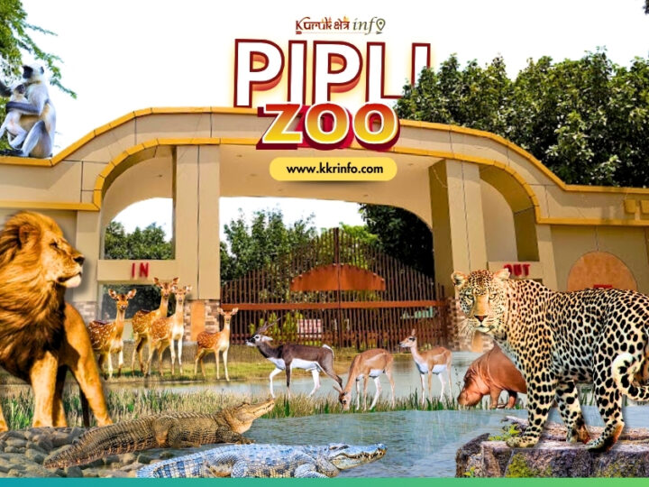 Pipli Mini Zoo: A Unique Blend of Nature and Conservation