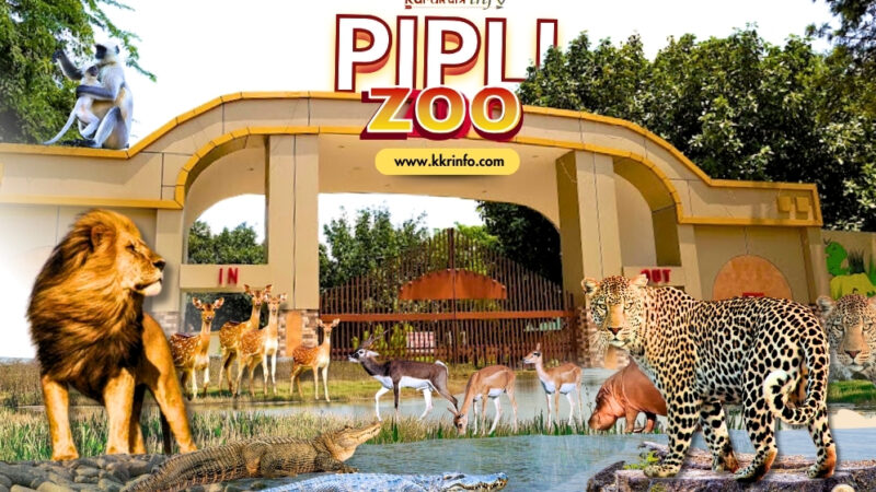 Pipli Mini Zoo: A Unique Blend of Nature and Conservation